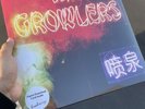 SEALED The Growlers Chinese Fountain Vinyl LP RARE OUT OF PRINT Record