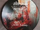 Black Metal Picture LP Bundle - Abyssic Hate - Borknagar - Enthroned- Isegrim