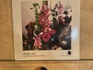 Wicca Phase Springs Eternal - Secret Boy Vinyl (VG+) Hip Hop