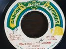Peace Was In The Garden - Freddy Mckay