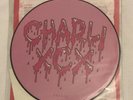 Charli XCX Sucker Vinyl Picture Disc 12