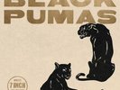 Black Pumas [Collector's Edition 7