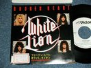 WHITE LION Japan 1986 VIPX-1834 PROMO NM 7
