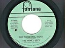 GIRLS/NORTHERN SOUL 45  The Honey Bees  Fontana  1939