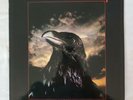 The Stranglers The Raven LP UA 30262. New. See photos  discrimination UK LIBERTY