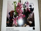 Wicca Phase Springs Eternal - Secret Boy Vinyl Hip Hop