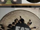 NOFX HOFX  FAT STORE EDITION NEW RECORD