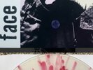 FACE TO RIDDANCE STRUNG NOFX PENNYWISE DESCENDENTS FAT STORE EDITION NEW RECORD