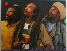 Rare Deep Roots Reggae - Israel Vibration - FOREVER LP mp3 clip