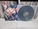 X Japan - Vanishing Vision Korea Gray Back Cover Vinyl LP