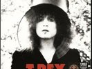 T. Rex The Slider RECORD STORE DAY RSD22 RSD 2022 22 RARE LTD VINYL PICTURE DISC