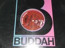 CHIC - DANCE - DANCE- DANCE- 1977 ON THE BUDDAH LABEL - VERY LIMITED 12