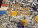 The Stone Roses SELF TITLED  Debut  Vinyl LP