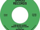 Guitar Ray You're Gonna Wreck My Life Vinyl 7