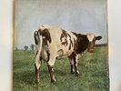 Pink Floyd Atom Heart Mother 1st press Vinyl SHVL 781