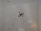 PRETTY THINGS LP 