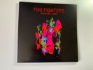 Foo Fighters Wasting Light Vinyl Album