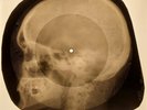 Beatles - Act Naturally X-RAY SKULL OF THE USSR X-RAY BONES RECORD
