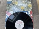 Stone Roses by The Stone Roses (Vinyl, Silvertone)