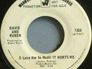 David and Ruben (I Love Her So Much) It Hurts Me - WB Orig, Ex Northern Soul