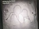 KATE BUSH 50 Words For Snow 2xLP Vinyl Record + CD 2011 Anti Anti-87186-1