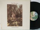 Van Morrison - Tupelo Honey  WS1950 Capitol L.A. Pressing  NrMint - Visual&Play