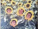 SUNNYBOYS - INDIVIDUALS 1982 MUSHROOM L 37835 AUS 1ST EDITION VINYL LP