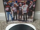 the vindictives leave home lp screeching weasel queers ramones