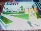 Bad Religion LP Suffer 2007 EX Repress NM
