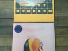 RARE RED RUM CLUB COLOURED VINYL LP'S HOLLOW OF HUMDRUM + HOW TO STEAL THE WORLD
