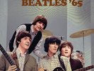 The Beatles - Live 65 Yellow Vinyl LP RWLP030