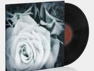 The Mountain Goats - All Eternals Deck LP Vinyl Record