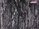 SUNN O))): black one SOUTHERN LORD 12
