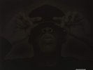 Jay-Z The Black Album (US IMPORT) VINYL NEW