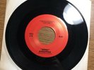 STRAPPED 45 Edna -private Outsider Weirdo Lofi Bizarre TX synth Punk Oddity 1985