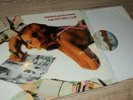Hatfield And The North the rotter's club Italy UNPLAYED 1° press  PROG MINT  LP