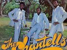 The Chantells - Waiting In The Park (LP, Comp, RE)