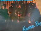 LP -  Ramones - Animal Boy / Teldec