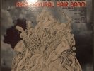Rare OG 1970 Psych Funk Soul US UA LP Galt MacDermot's First Natural Hair Band