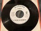 Gia Mateo - If You Can't Say Anything Nice/ Juanito 45 Promo