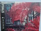 Foals Everything Not Saved Will Be Lost Part 1 SIGNED AUTOGRAPHED Vinyl Record