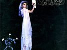 STEVIE NICKS 