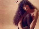 Amanda Miguel : El Ultimo Sonido Vol III 3  Tex Mex Tejano Latin LP 1984