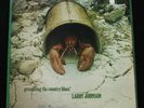LARRY JOHNSON Presenting The Country Blues UK Blue Horizon 1969 MONO *MINT* LP