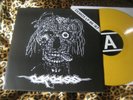 CARCASS demos 86/87  VINYL LP napalm death repulsion nuclear death