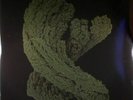 COOPER, Max - Emergence - Vinyl (gatefold 2xLP + booklet)