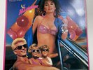 The Allnighter Soundtrack 1987 Chameleon CHST 9601 Jacket Vinyl Susanna Hoffs