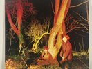 Echo & The Bunnymen Crocodiles Vinyl Reissue