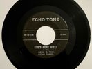 GENE & ECHO TONES Time Goes By/She's Gone Away RARE TEEN ROCK & ROLL Worn HEAR