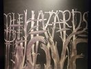 Decemberists Hazards of Love Vinyl